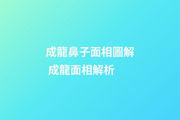 成龍鼻子面相圖解 成龍面相解析